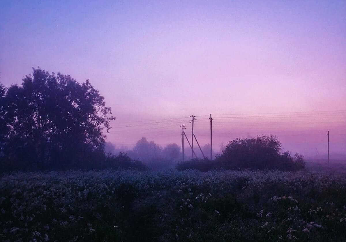 Kiwi Sports-阿夫迪亚18+6克林根14+11 开拓者送篮网四连败